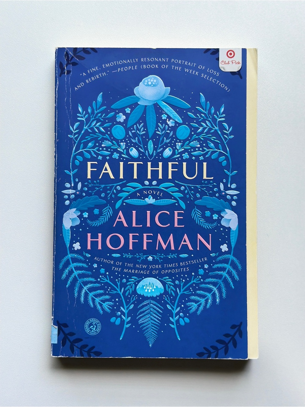 Faithful: A Novel by Alice Hoffman | Fiction, Drama | Paperback Book